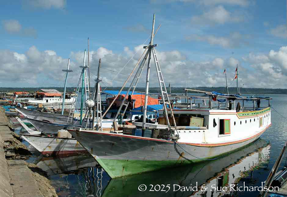 Description: Saumlaki harbour