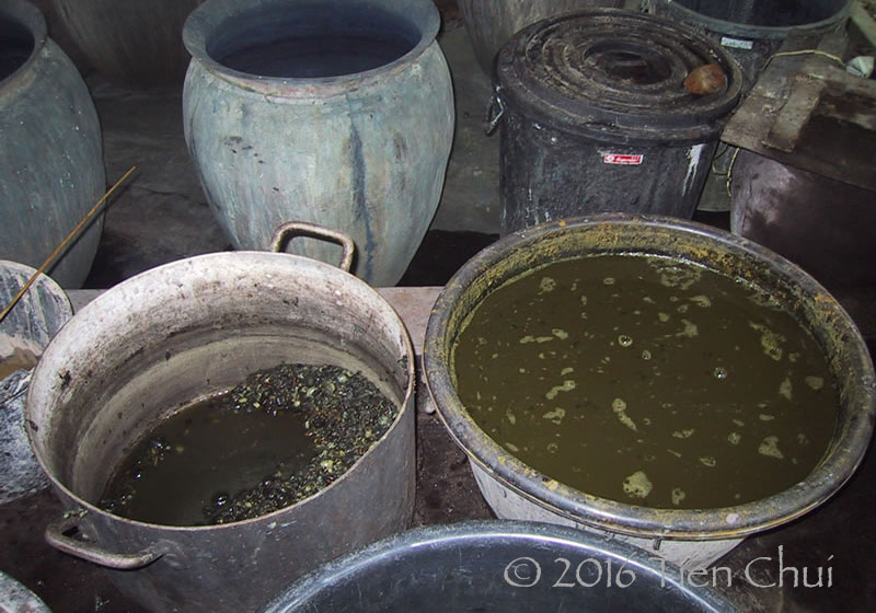 Description: Ebony fruits soaking in water