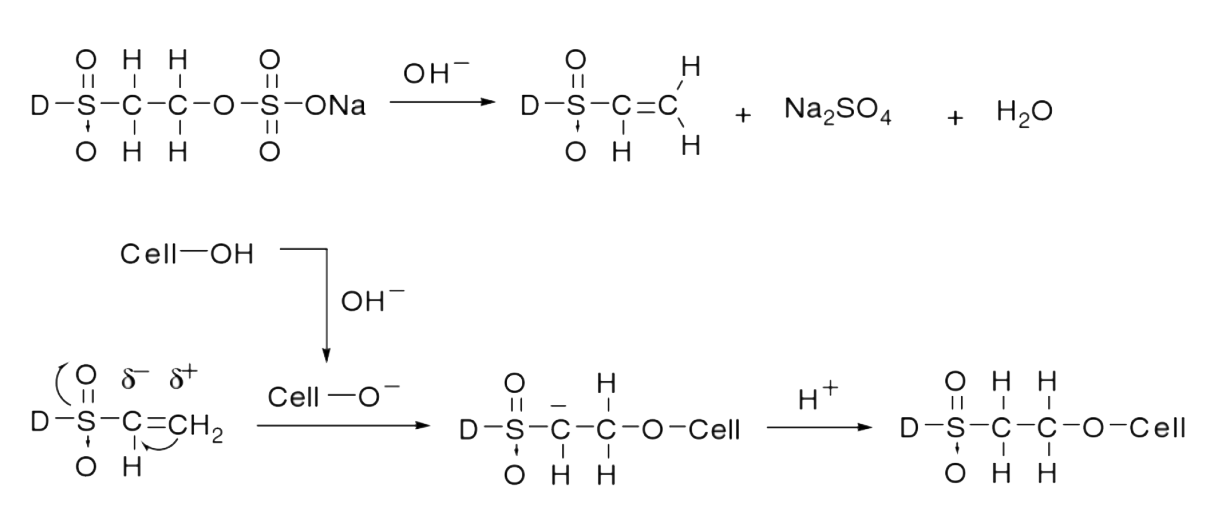 Description: Binding mechanism of a vinyl suphone dye
