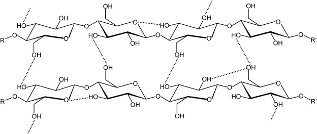 Description: Hydrogen_Bonding