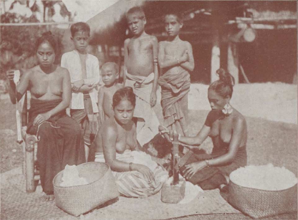 Description: Cotton processing in the 1920s, Laura, West Sumba