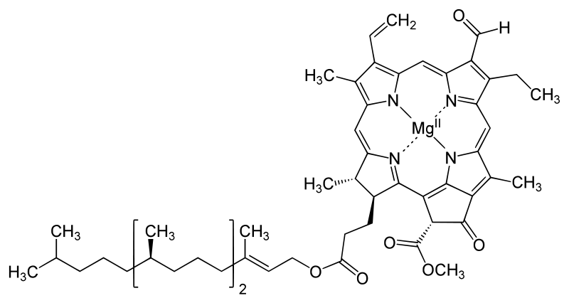 Description: Chlorophyll a structure