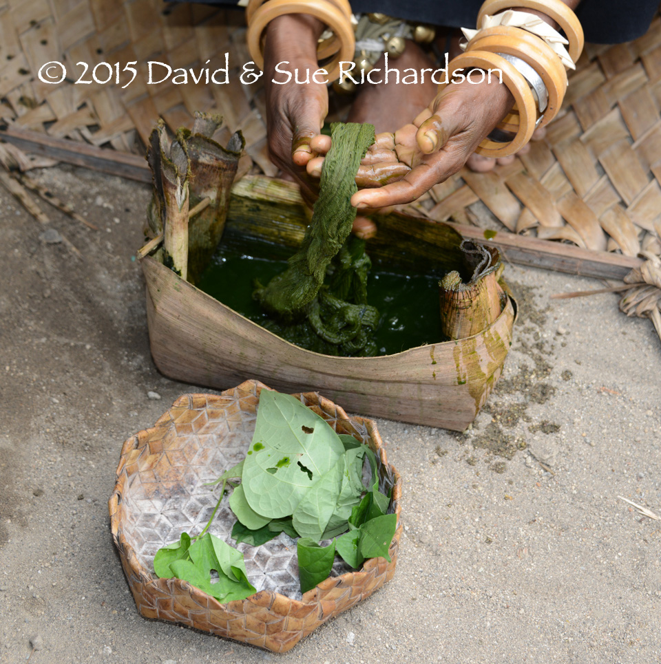 Description: Some of the leaves used to dye cotton an olive green at Doka in 2014