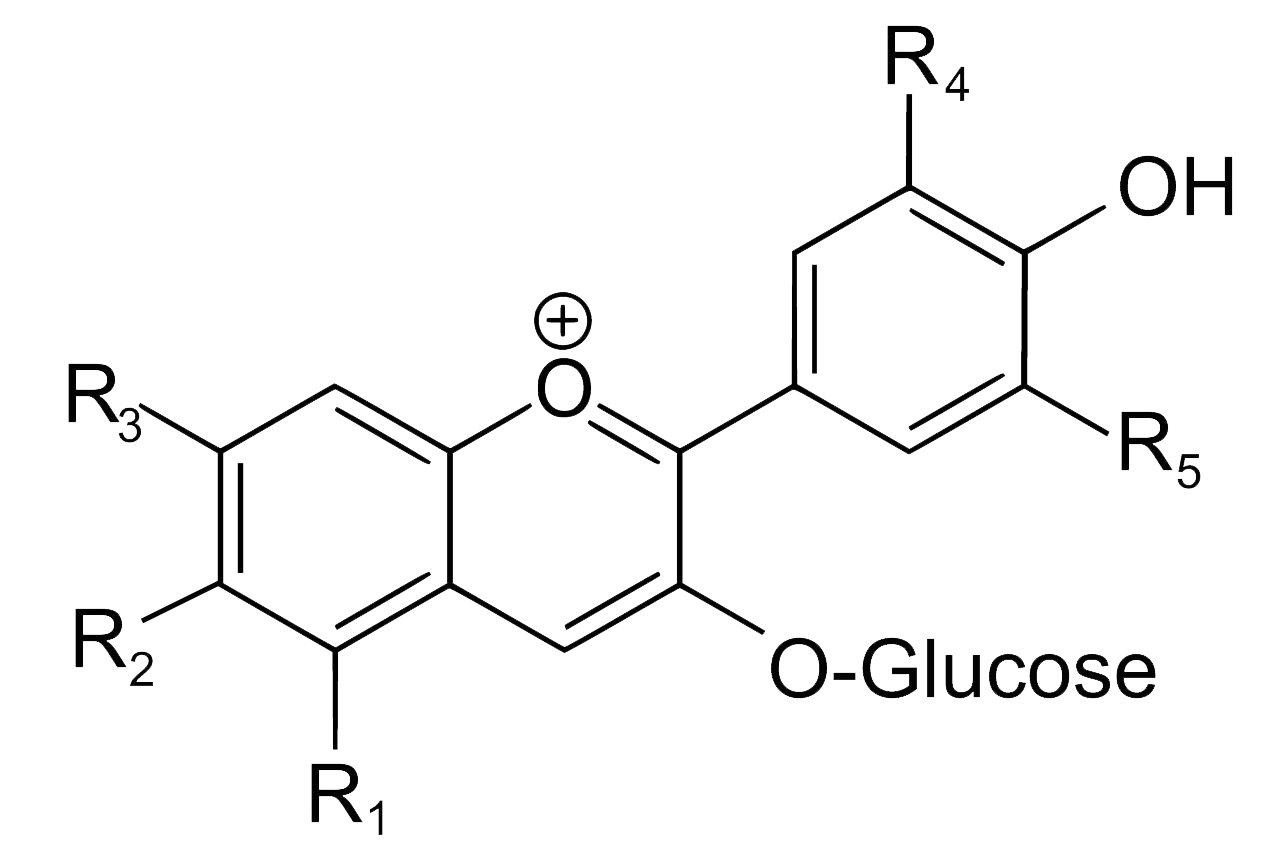 Description: Anthocyanin structure