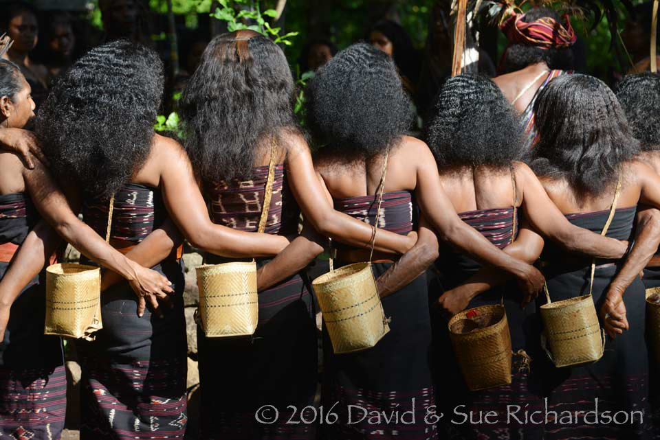 Description: Abui dancers, Alor Island