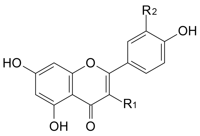 Description: Flavonoid structure