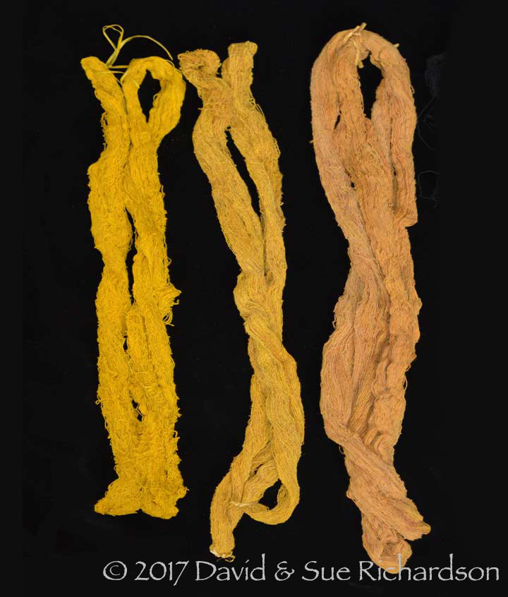 Description: The dried yarns
