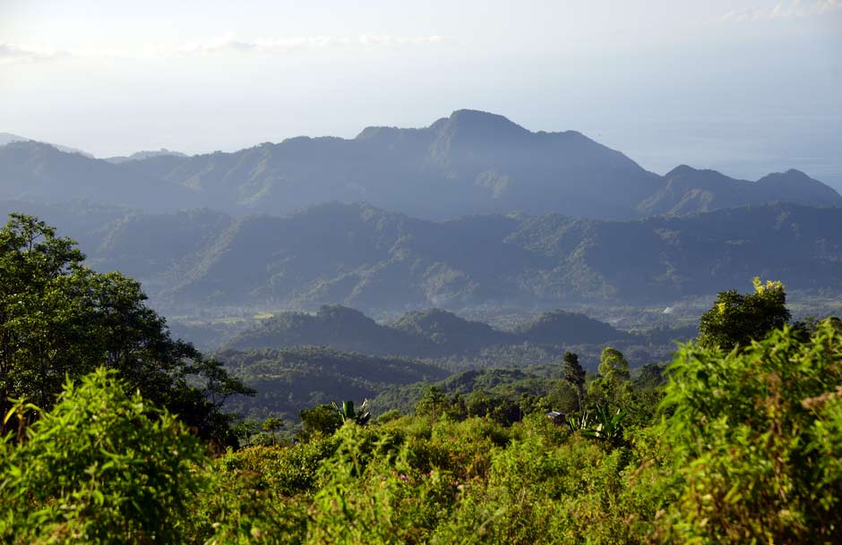 Description: The heavily forested landscape of Ende Regency