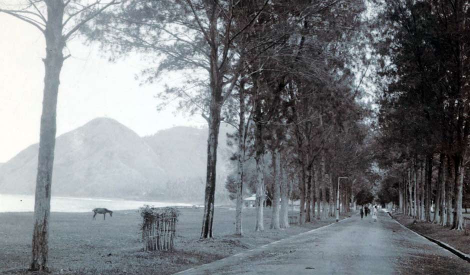 Description: The road into Ende town around 1925