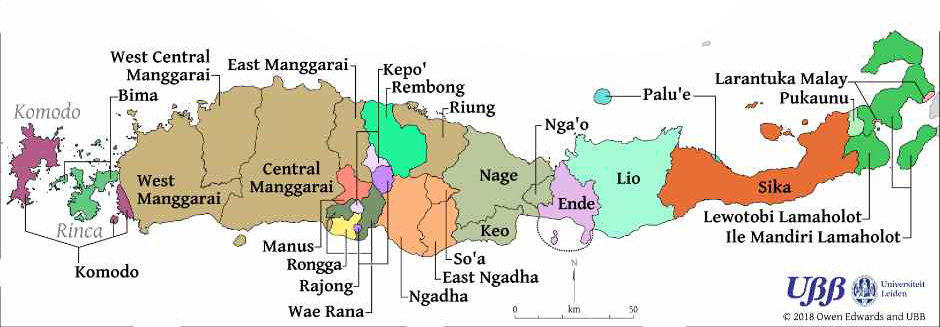 Description: The languages of Flores