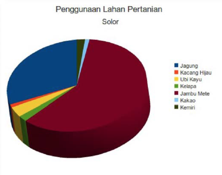 Description: Agricultural land use on Solor in 2006