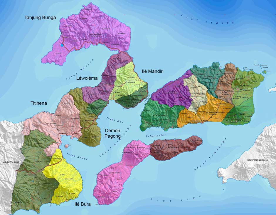 Description: Map of the kecamatan of East Flores